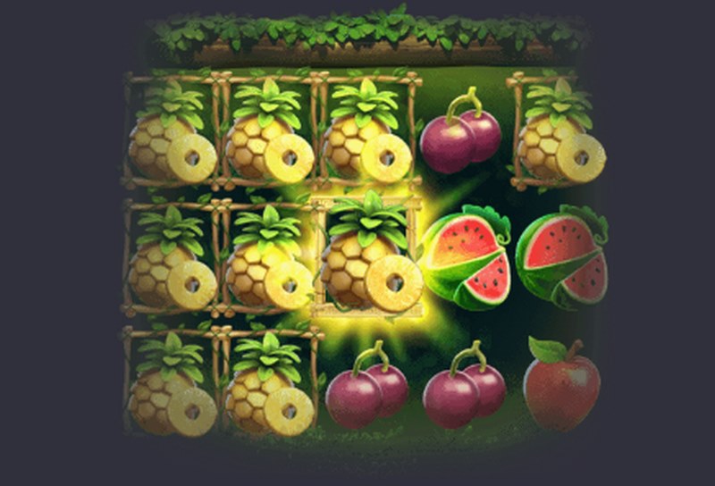 《水果丛林》——畅游奇妙果园,开启甜蜜冒险! 5 免费旋转模式